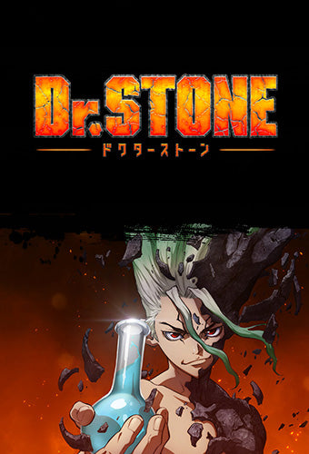Dr Stone